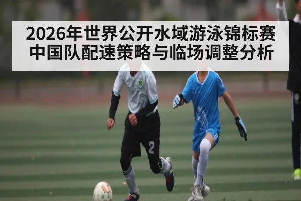 2026年世界公开水域游泳锦标赛中国队配速策略与临场调整分析